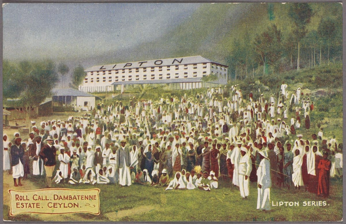 A hand-coloured postcard of the Dambatenne estate in Ceylon in 1908, with the Lipton tea factory on the hill behind a large crowd of estate workers