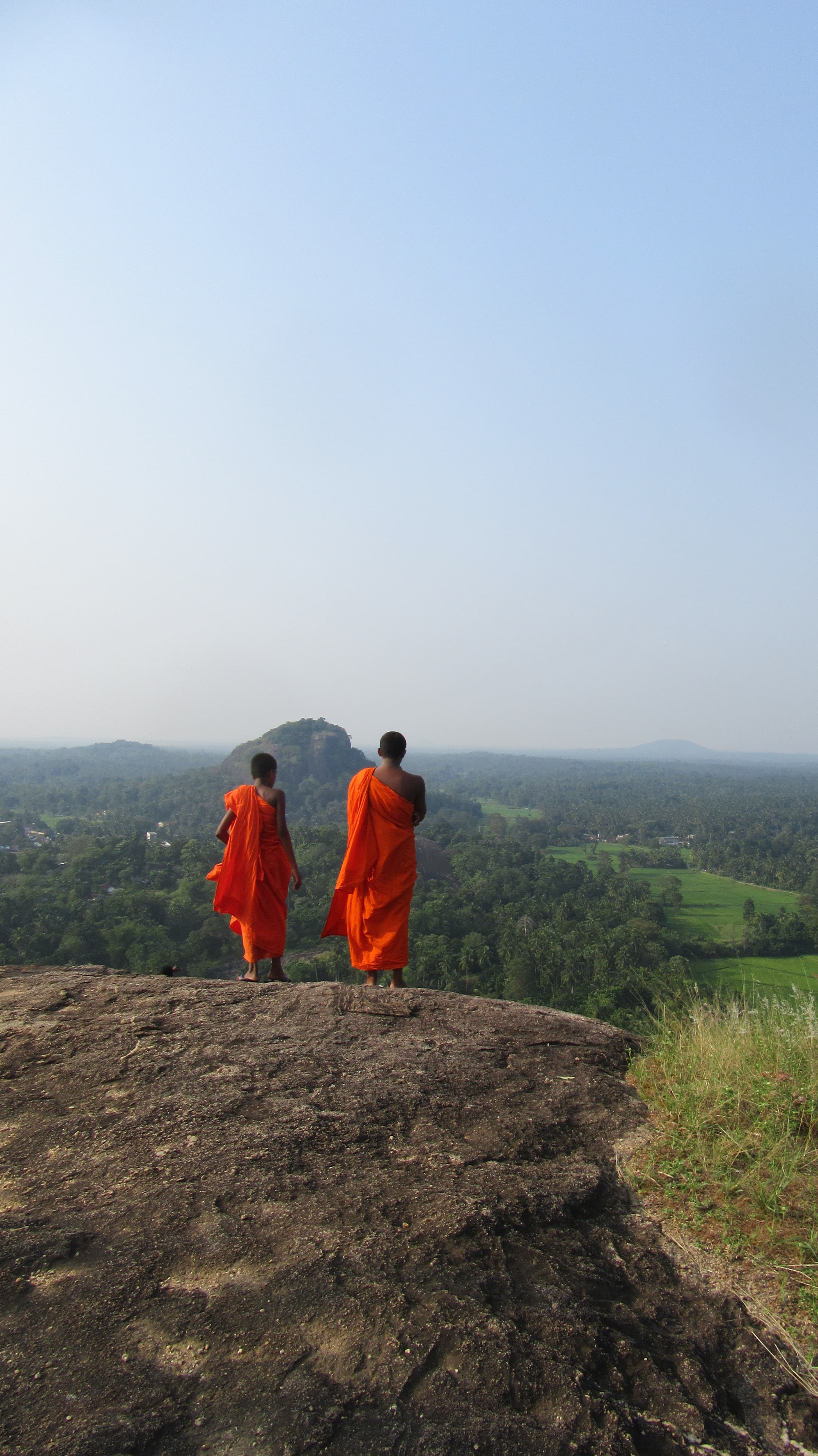 Tea pickers on a hillside near Ella