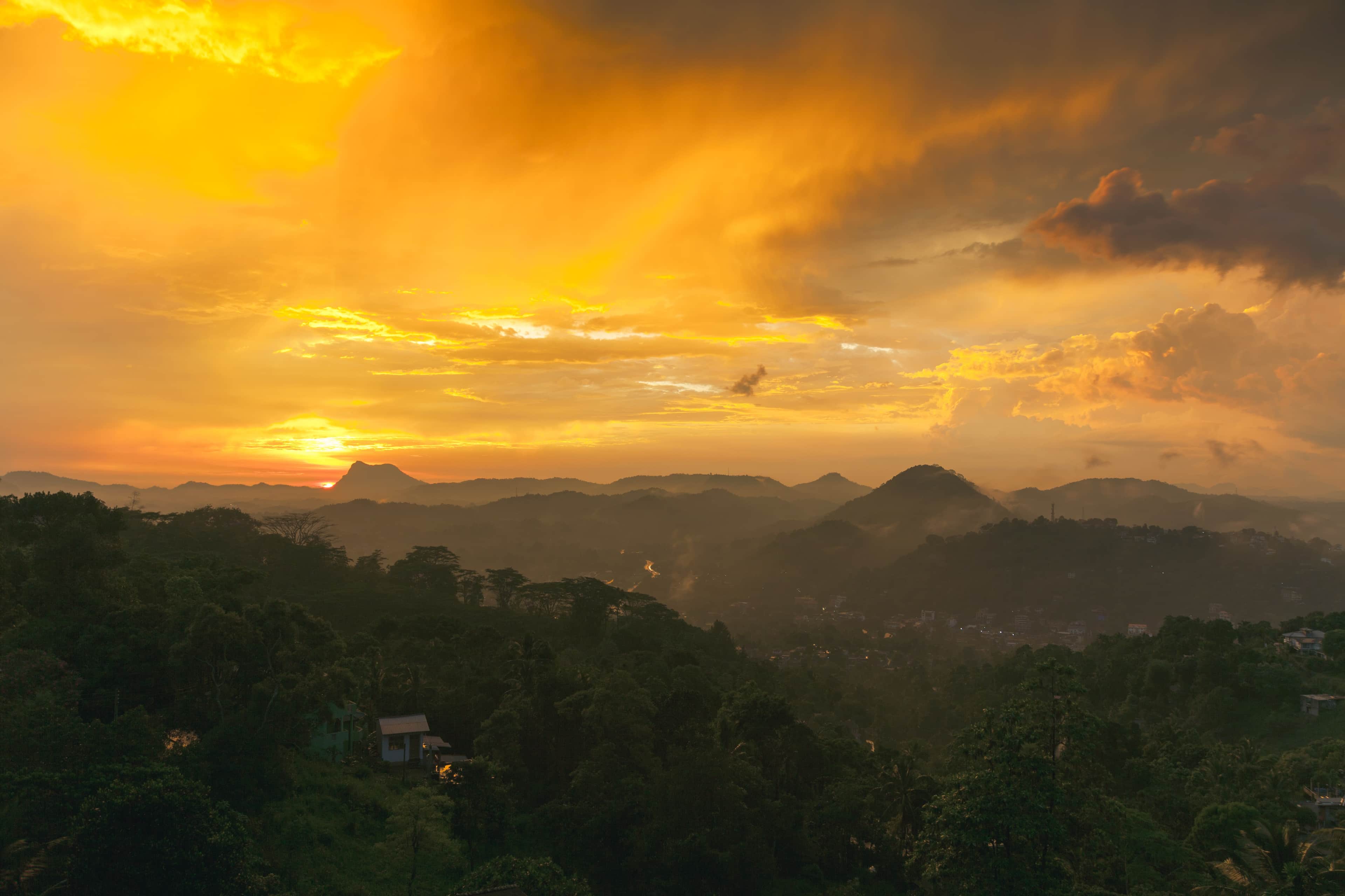 Golden evening light over the tea-covered hills of Ella, Sri Lanka